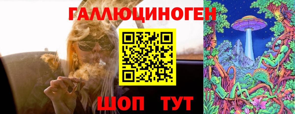 Галлюциногенные грибы Psilocybine cubensis Красный Сулин