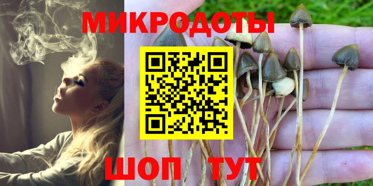 Красный Сулин  Галлюциногенные грибы прущие грибы  Галлюциногенные грибы GOLDEN TEACHER  Вход с VPN 